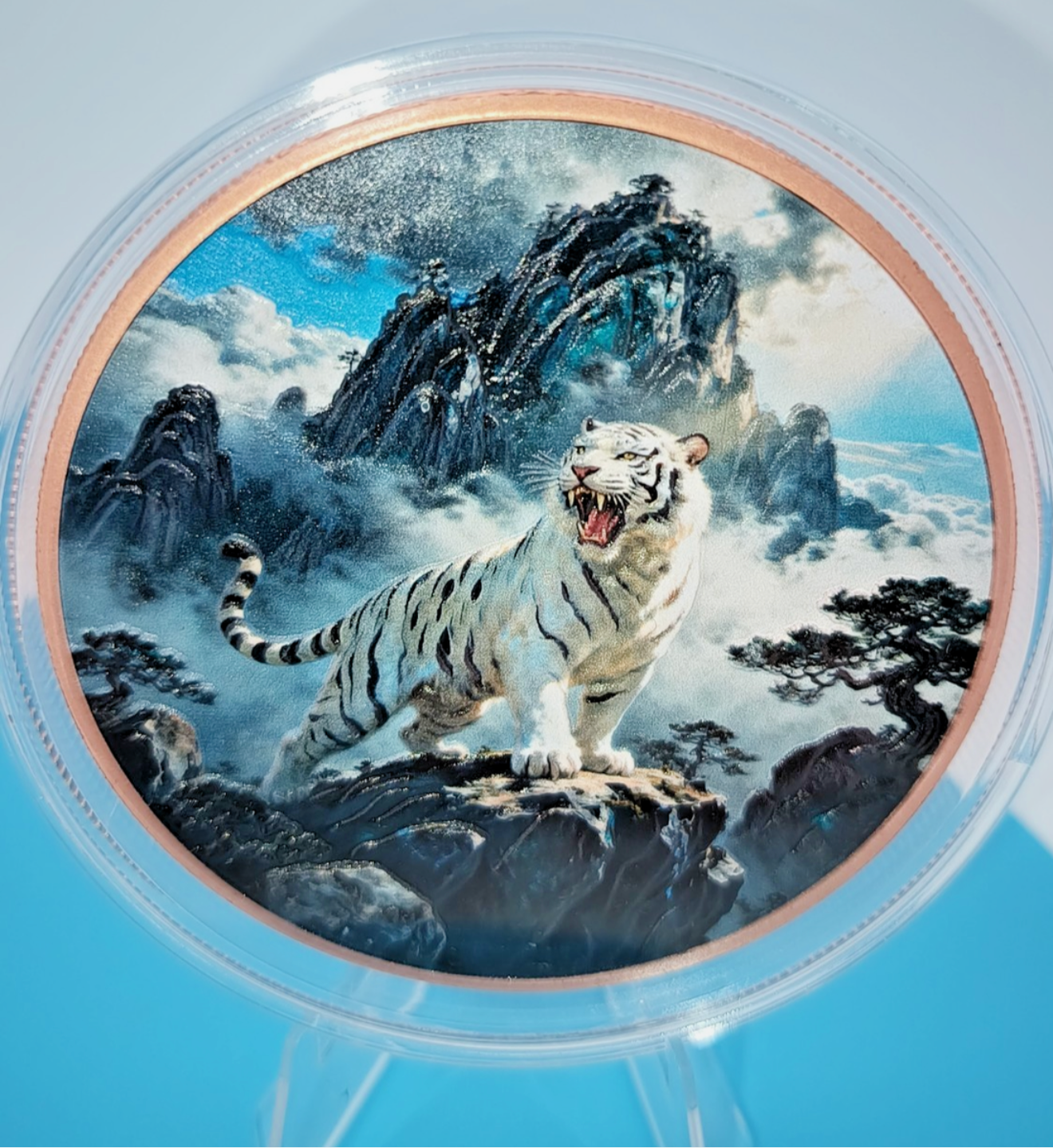 **NEW**2026 POWERFUL TIGER COLORIZED BOTH SIDES 5 OZ COPPER HIGH RELIEF CAPSULE